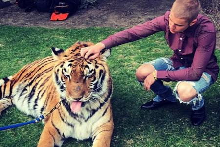 Dieses Bild von Justin Bieber war der Anlass für die harsche Kritik Dieses Bild von Justin Bieber war der Anlass für die harsche Kritik