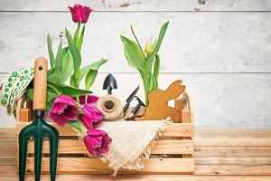 Nachhaltig in den Frühling: So werden die Städte grüner