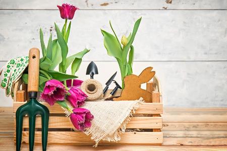 Für Gartenarbeit benötigt man nicht zwingend einen eigenen Garten: Urban Gardening ist das Stichwort Für Gartenarbeit benötigt man nicht zwingend einen eigenen Garten: Urban Gardening ist das Stichwort