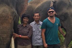 Leonardo DiCaprio im Einsatz für Elefanten