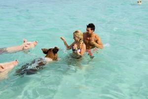 Dreamdates beim "Bachelor": Schweine und gedrückte Stimmung