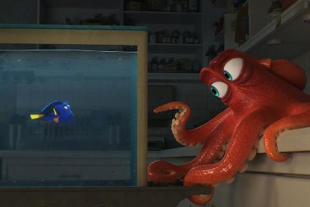 Dory landet wie Nemo auf der Suche nach ihrer Familie in einem Aquarium Dory landet wie Nemo auf der Suche nach ihrer Familie in einem Aquarium