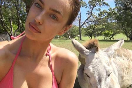 Model trifft Esel: Model Irina Shayk postet witziges Bikini-Selfie auf Instagram Model trifft Esel: Model Irina Shayk postet witziges Bikini-Selfie auf Instagram