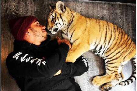 Lewis Hamilton ist ganz vernarrt in Tigerbaby Nicole Lewis Hamilton ist ganz vernarrt in Tigerbaby Nicole