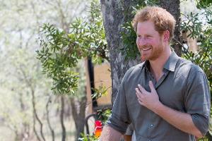 Prinz Harry: Verliebt in eine echte Prinzessin?