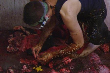 Im zweiten Raum wird's eklig: Knöcheltief in Fisch- und Fleischabfällen stehend muss der DSDS-Dauergast zwei Sterne ergatter...