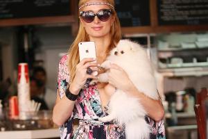 Look des Tages