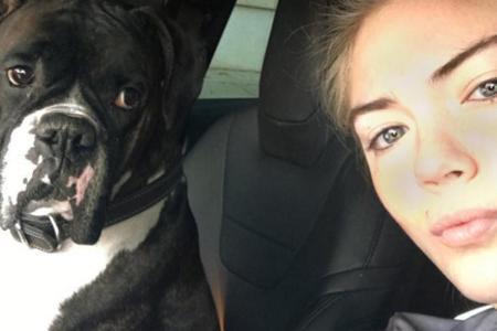 Team: Model Kate Upton liebt ihren Boxer über alles und postet gerne mal ein Selfie mit Schatz Harley Team: Model Kate Upton liebt ihren Boxer über alles und postet gerne mal ein Selfie mit Schatz Harley