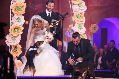 Sandra und Victor heiraten - ihre beiden Hunde bringen die Trauringe