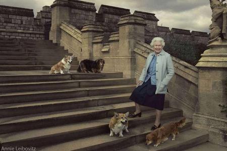 Queen Elizabeth posiert mit ihren Hunden