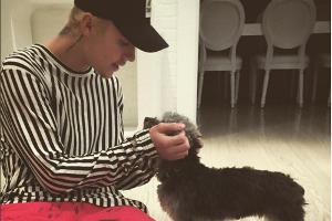 Möchte allen die gleiche Menge Aufmerksamkeit zukommen lassen: Justin Bieber mit Hündin Esther und Neuzugang Phil