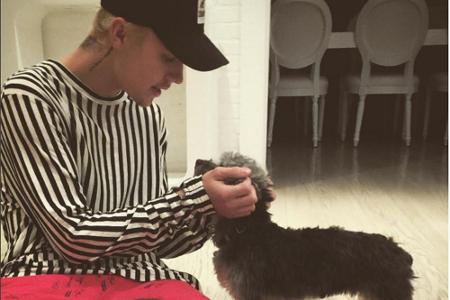 Möchte allen die gleiche Menge Aufmerksamkeit zukommen lassen: Justin Bieber mit Hündin Esther und Neuzugang Phil Möchte allen die gleiche Menge Aufmerksamkeit zukommen lassen: Justin Bieber mit Hündin Esther und Neuzugang Phil