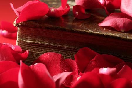 Liebesbücher lesen sich nicht nur am Valentinstag gut Liebesbücher lesen sich nicht nur am Valentinstag gut