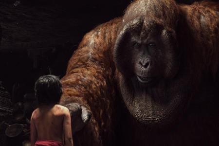 King Louie hat Mogli fest im Blick