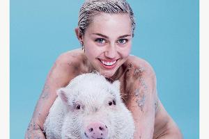 Miley Cyrus posiert nackt mit Schwein