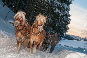 Bauernhöfe in Bayern: Winterurlaub im Leerlaufgang