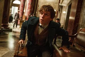 Eddie Redmayne als Newt Scamander in "Fantastic Beasts And Where To Find Them"