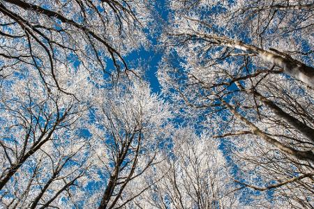 Sieht schön aus, kann aber auch gefährlich sein: die Kälte im Winter Sieht schön aus, kann aber auch gefährlich sein: die Kälte im Winter