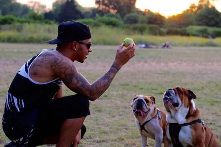Ein malerischer Schnappschuss - ob Lewis Hamiltons Hunde wohl auch so schnell sind wie der Formel-1-Pilot?