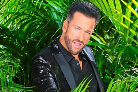 Michael Wendlers ohnehin schon angekratztes Image wurde durch das Dschungelcamp weiter ramponiert
