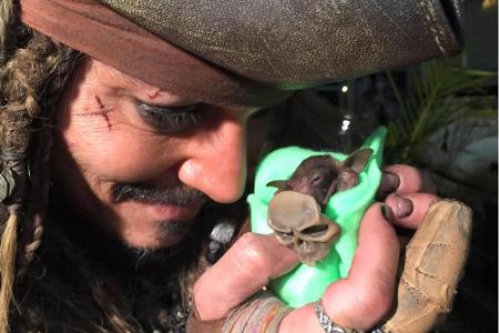 So süß kümmert sich Johnny Depp um den kleinen Jackie Sparrow.