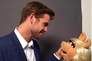 Liam Hemsworth: Gastrolle in TV-Serie "The Muppets"