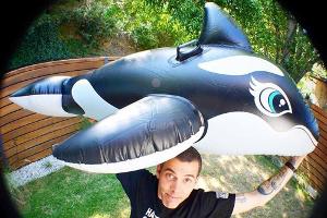 Steve-O: Festnahme nach gefährlichem Kran-Stunt