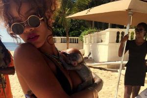 Rihanna: Shitstorm wegen Affen-Foto