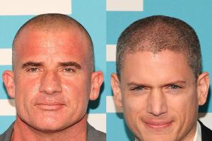 "Prison Break" kommt als Miniserie zurück