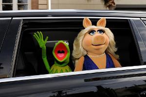 Kermit hat ein neues Schwein an seiner Seite