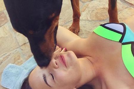 So war er: Demi Lovato beim Schmusen mit ihrem verstorbenen Hund Spawn So war er: Demi Lovato beim Schmusen mit ihrem verstorbenen Hund Spawn