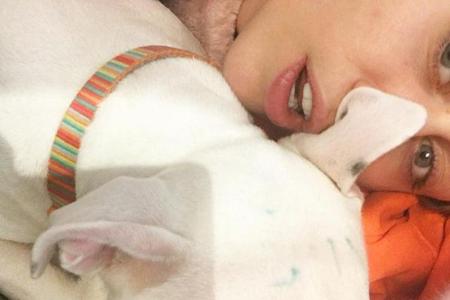 Miley Cyrus hat ihren Hund mit einem Textmarker angemalt und wird dafür von ihren Fans kritisiert Miley Cyrus hat ihren Hund mit einem Textmarker angemalt und wird dafür von ihren Fans kritisiert