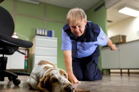 Revierhund Speedy lässt sich von Polizeihauptmeister Wolfgang Neumann (Fritz Roth) nicht von seinem Stammplatz vertreiben