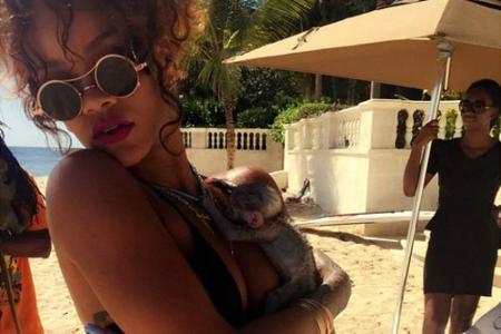 Nackte Haut geht immer? Nicht, wenn man wie Rihanna einen fragwürdigen Umgang mit Wildtieren pflegt Nackte Haut geht immer? Nicht, wenn man wie Rihanna einen fragwürdigen Umgang mit Wildtieren pflegt