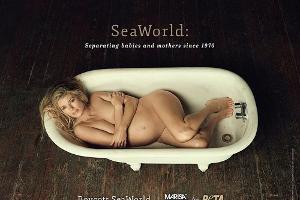 Model Marisa Miller: Schwanger und nackt für PETA