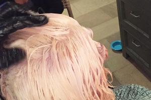 Lady Gaga wird wieder blond - unter Schmerzen