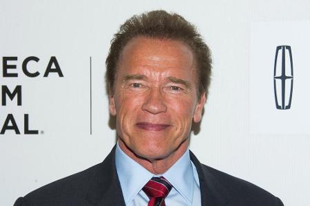 Arnie hat in gut zehn Jahren Pause einiges verlernt Arnie hat in gut zehn Jahren Pause einiges verlernt