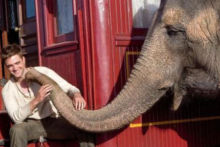 Tierarzt Jacob (R. Pattinson) freundet sich in Tierarzt Jacob (R. Pattinson) freundet sich in