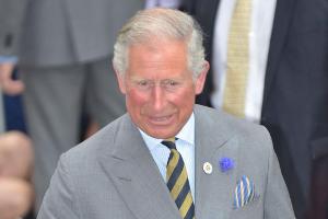 Prinz Charles möchte Anwesen in Cornwall kaufen