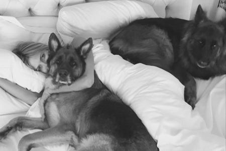 So kuschelt Heidi Klum morgens mit ihren beiden Schäferhunden So kuschelt Heidi Klum morgens mit ihren beiden Schäferhunden