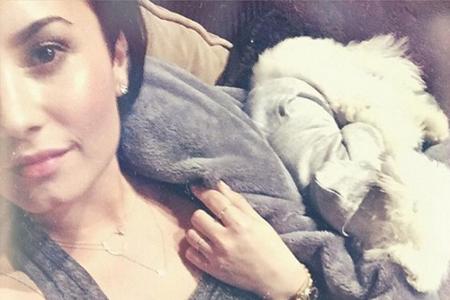 Demi Lovato und ihre Jungs: Ihr Freund Wilmer Valderrama und Hund Buddy Demi Lovato und ihre Jungs: Ihr Freund Wilmer Valderrama und Hund Buddy