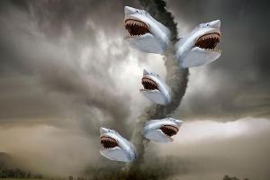 Trash-Kult "Sharknado" bekommt dritten Teil