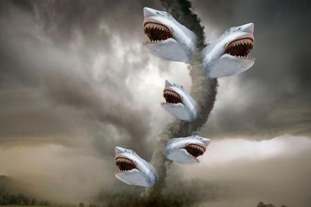 It's raining sharks! Eine Szene aus It's raining sharks! Eine Szene aus