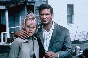 "Die Vögel"-Star Rod Taylor ist tot