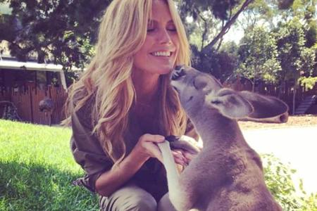Heidi Klum hat einen tierischen Freund gefunden Heidi Klum hat einen tierischen Freund gefunden