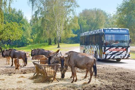 Exotische Tiere in zwei Wildparks in Niedersachen und den Niederlanden Exotische Tiere in zwei Wildparks in Niedersachen und den Niederlanden
