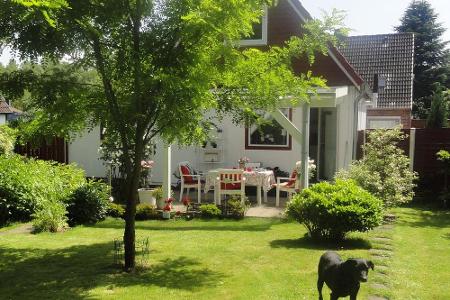 Das Ferienhaus Mövenkiste in Meldorf/Nordsee bietet Vierbeinern einen großen Garten zum Austoben.