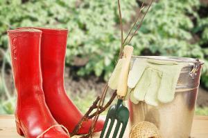 April: Was jetzt im Garten zu tun ist
