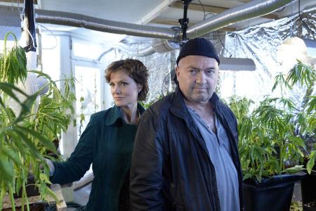 Die Ermittler Verena und Otto begutachten die Cannabis-Plantage Die Ermittler Verena und Otto begutachten die Cannabis-Plantage