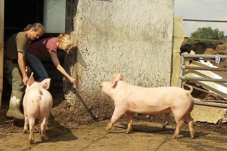 08 Gottfried und Martina 100206608.jpg